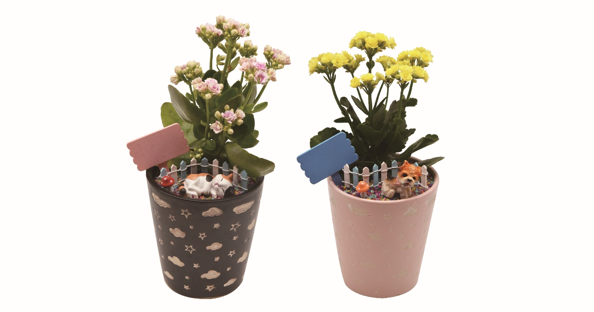 依植相伴-花藝植葬套組（寶貝十公斤以下）